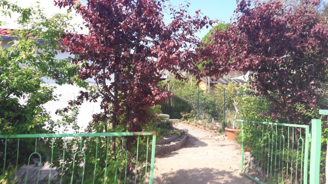 Apartments Zum Brauergang Garz  Екстер'єр фото